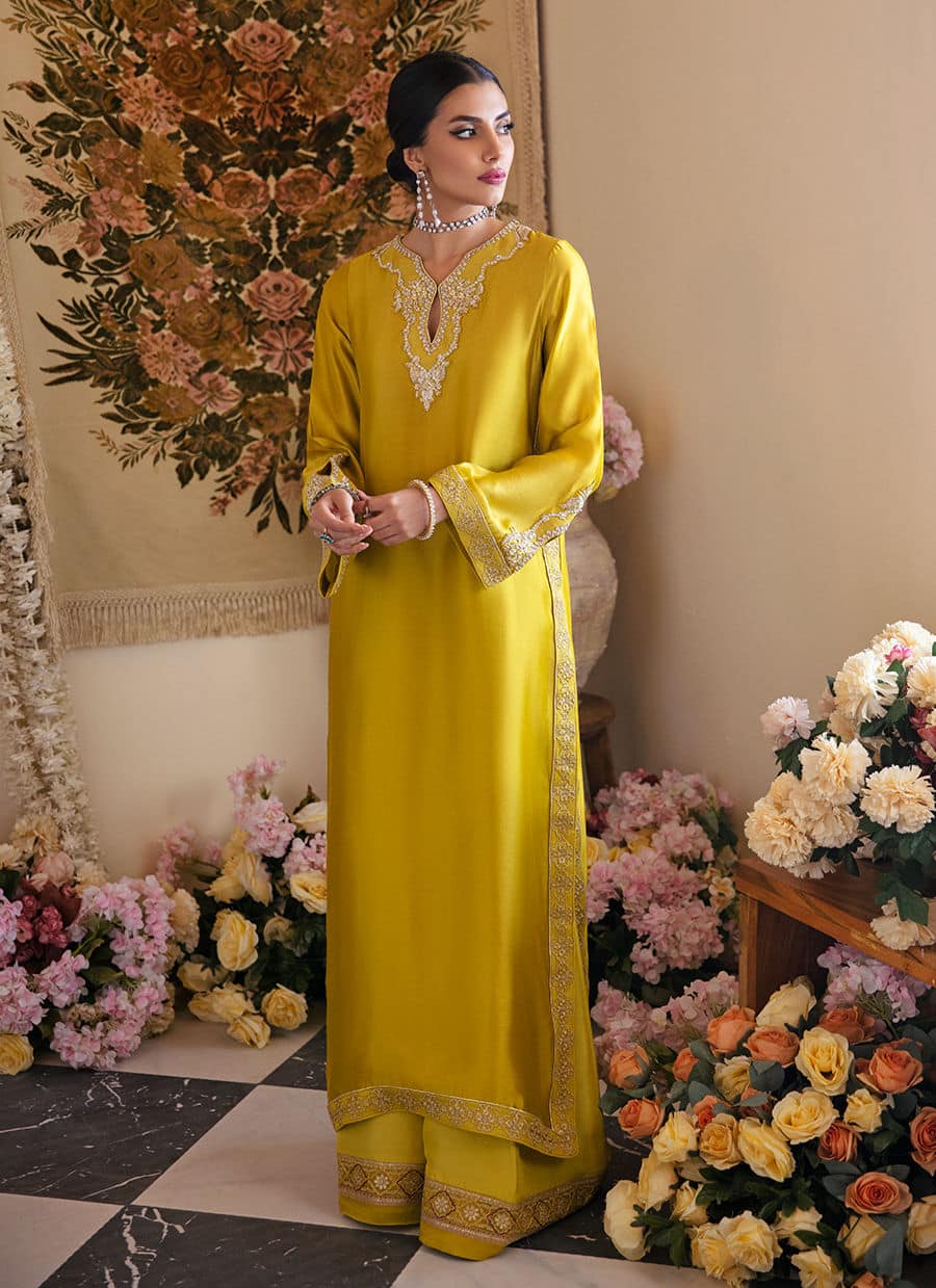 Farah Talib Aziz | Mayna Festive Luxe | Veesta Lime - House Of Anaya