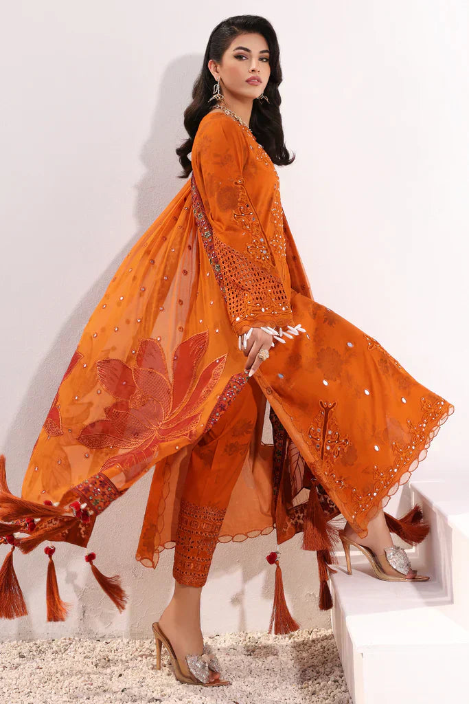 Charizma | Signature Festive 24 | ED-05 - House Of Anaya