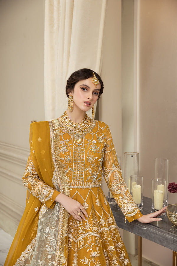 House of Nawab | Luxury Formals | HAZWA B - House Of Anaya