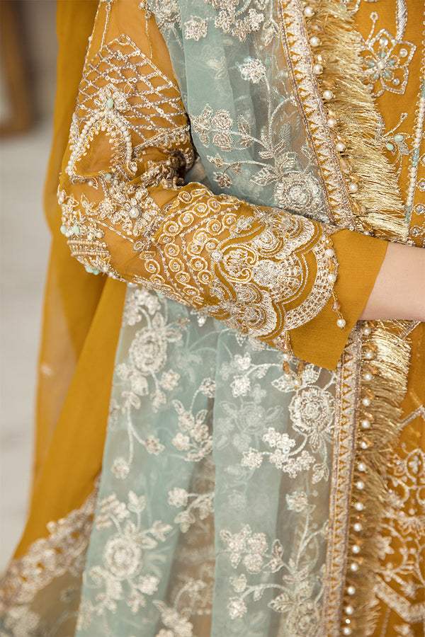 House of Nawab | Luxury Formals | HAZWA B - House Of Anaya