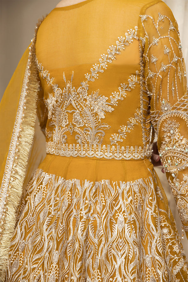 House of Nawab | Luxury Formals | HAZWA B - House Of Anaya
