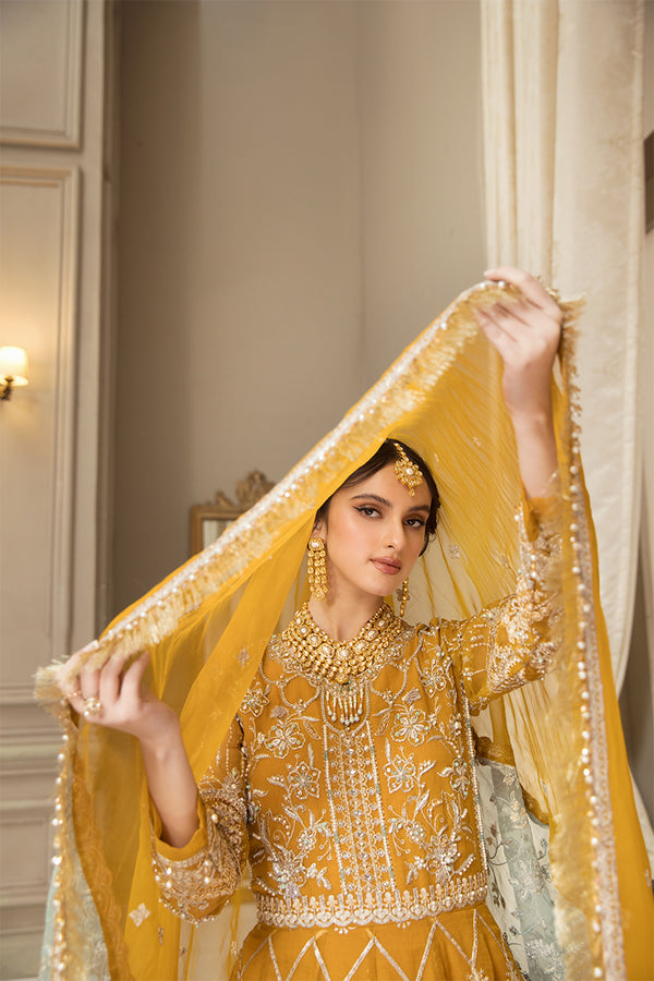 House of Nawab | Luxury Formals | HAZWA B - House Of Anaya