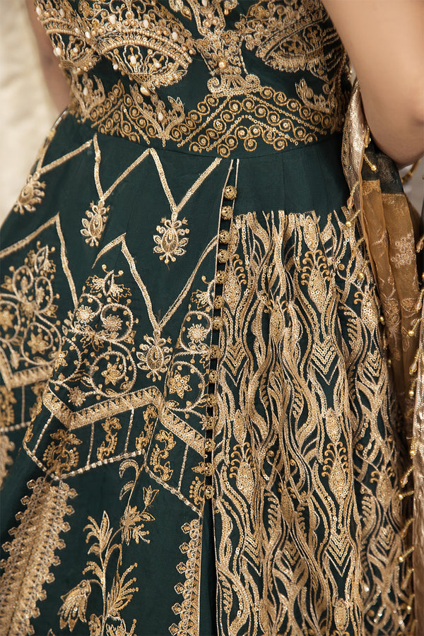 House of Nawab | Luxury Formals | HAZWA A - House Of Anaya