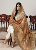 Hussain Rehar | Luxury Formals | Paara - House Of Anaya