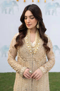 Iznik | Shendi Luxury Formals 23 | ISC-03 MAIYAA - House Of Anaya
