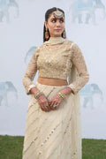 Iznik | Shendi Luxury Formals 23 | ISC-03 MAIYAA - House Of Anaya