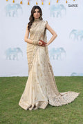 Iznik | Shendi Luxury Formals 23 | ISC-03 MAIYAA - House Of Anaya