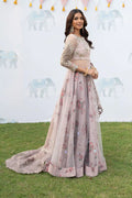 Iznik | Shendi Luxury Formals 23 | ISC-01 SAAHIRA - House Of Anaya