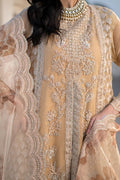 Ittehad | Dilruba Wedding Formals | ESDR78-SUT-BGE - House Of Anaya