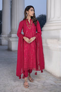LSM | Spring Embroidered 24 | A-15 - House of Zarish