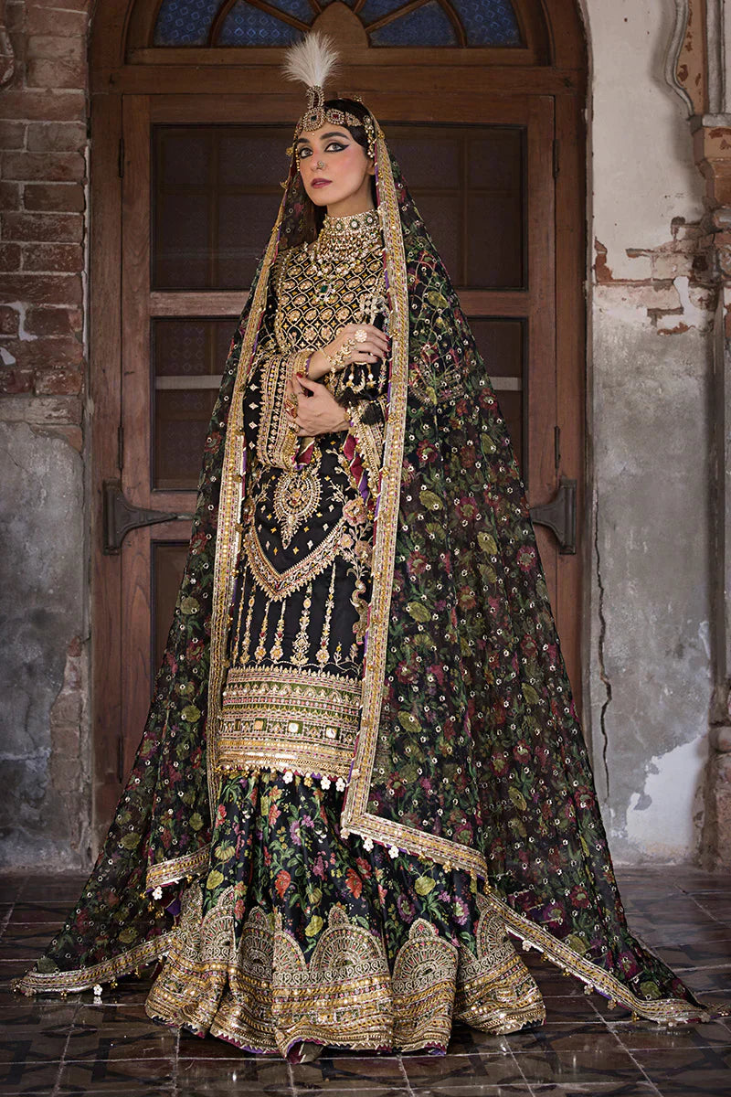 MNR | Talpur Dynasty 23 | Koyal - House Of Anaya