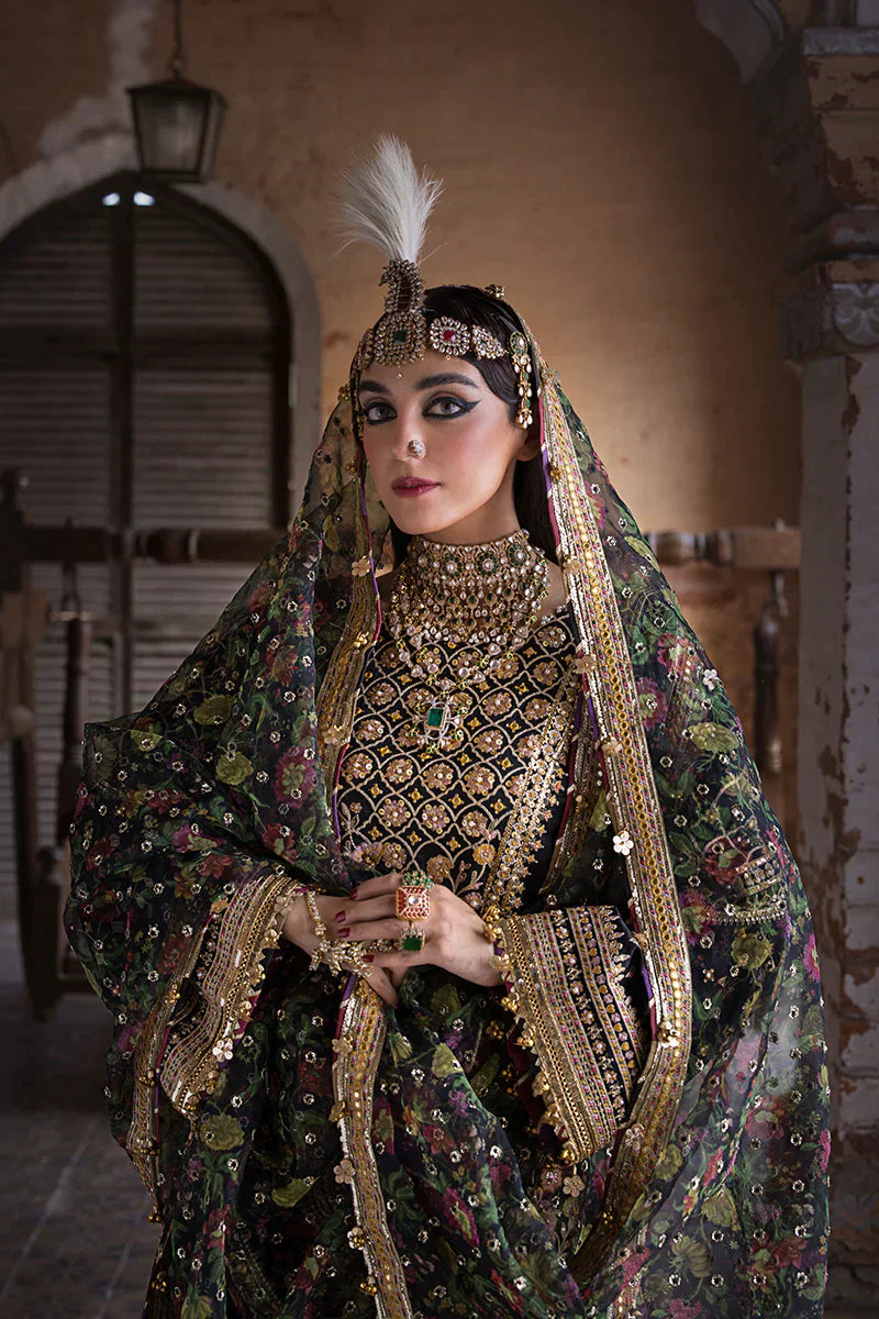 MNR | Talpur Dynasty 23 | Koyal - House Of Anaya