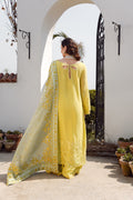 Nilofer Shahid | Verve Summer 24 | Evara (3pc)  Verve SS 24 - House of Zarish