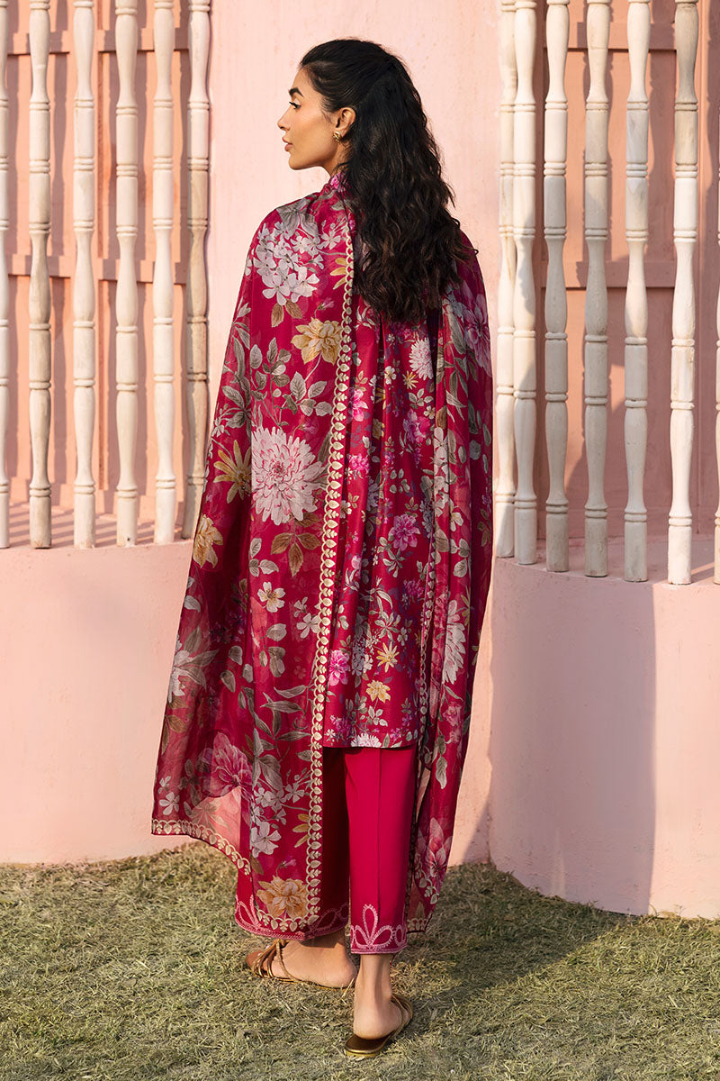Cross Stitch | Premium Lawn 25 | WHIMSICAL ZEST - House Of Zarish