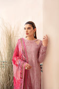 Ramsha | Andaaz Collection | Z-1008 - House Of Anaya