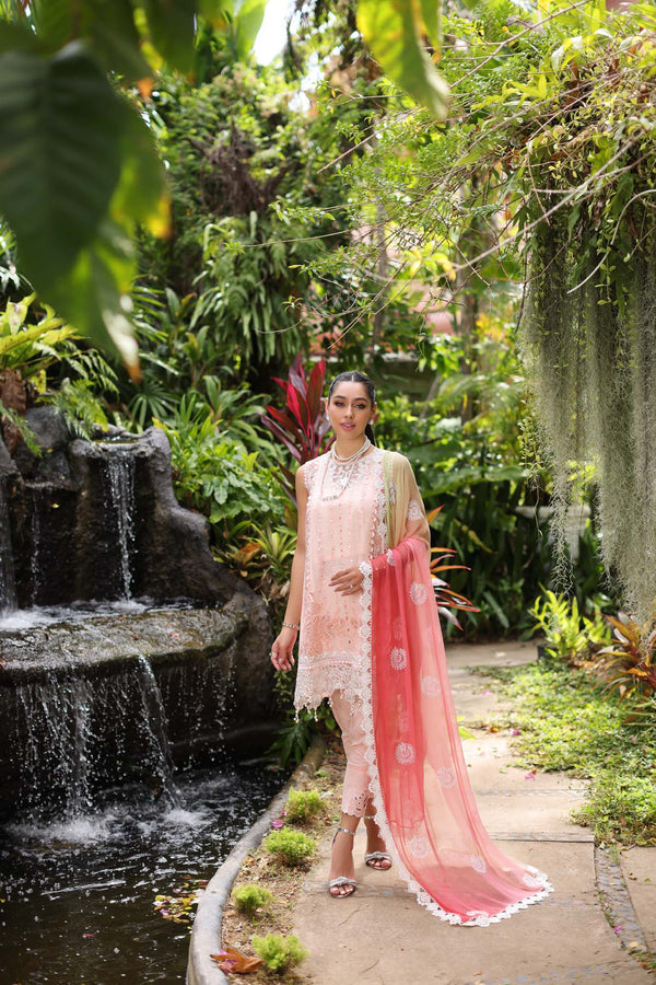 Noor by Saadia Asad | Luxury Chikankari Lawn24 | D7-B Peach Tkm - House Of Anaya