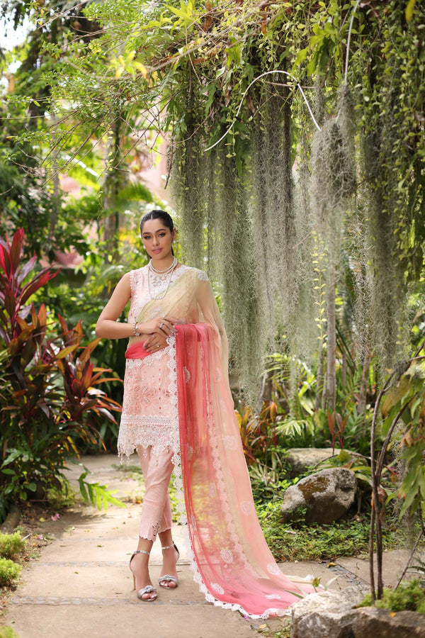 Noor by Saadia Asad | Luxury Chikankari Lawn24 | D7-B Peach Tkm - House Of Anaya