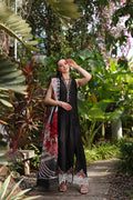 Noor by Saadia Asad | Luxury Chikankari Lawn24 | D6-A Black Laser - House Of Anaya