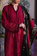 Saira Rizwan | Winter 23 | SOHA SR-08 - House Of Anaya