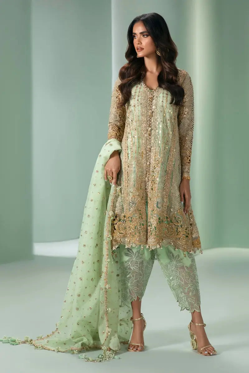 Sana Safinaz | Nura Festive 2023 | N233-007-CV - House Of Anaya