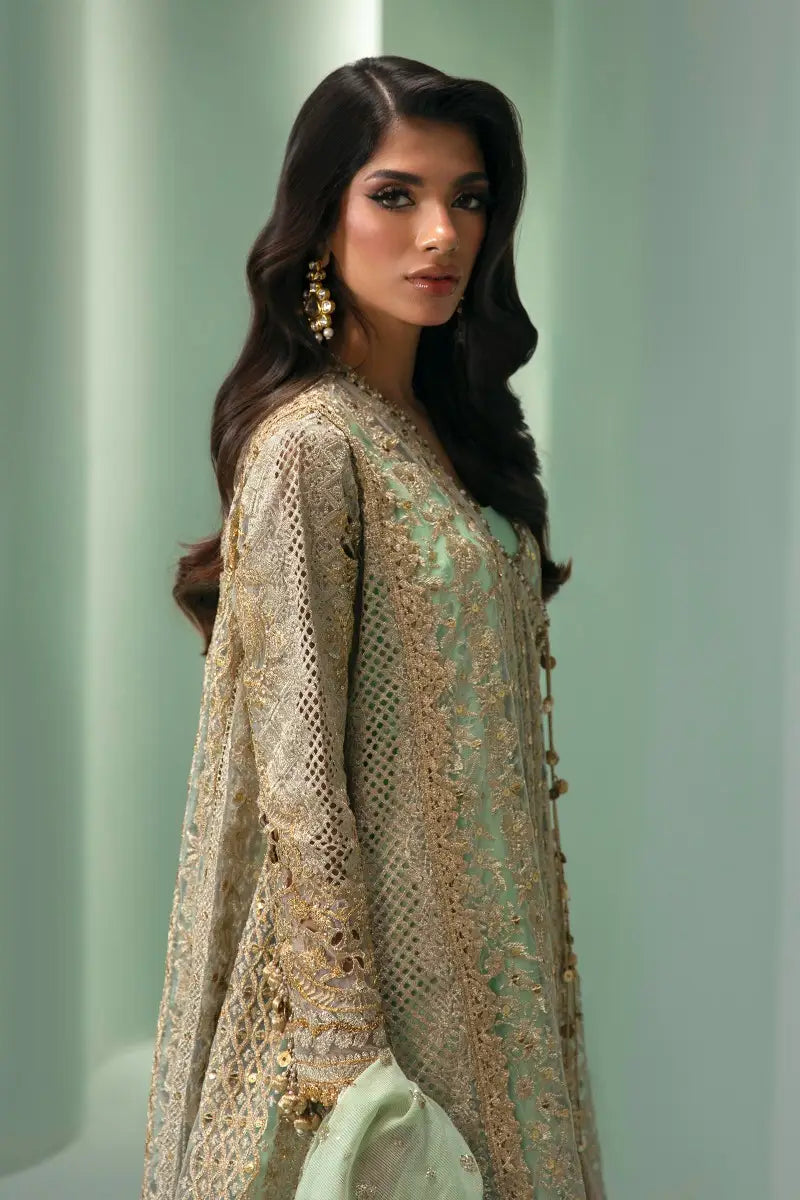Sana Safinaz | Nura Festive 2023 | N233-007-CV - House Of Anaya