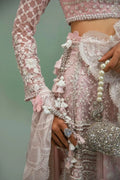 Sana Safinaz | Nura Festive 2023 | N233-002-CT - House Of Anaya