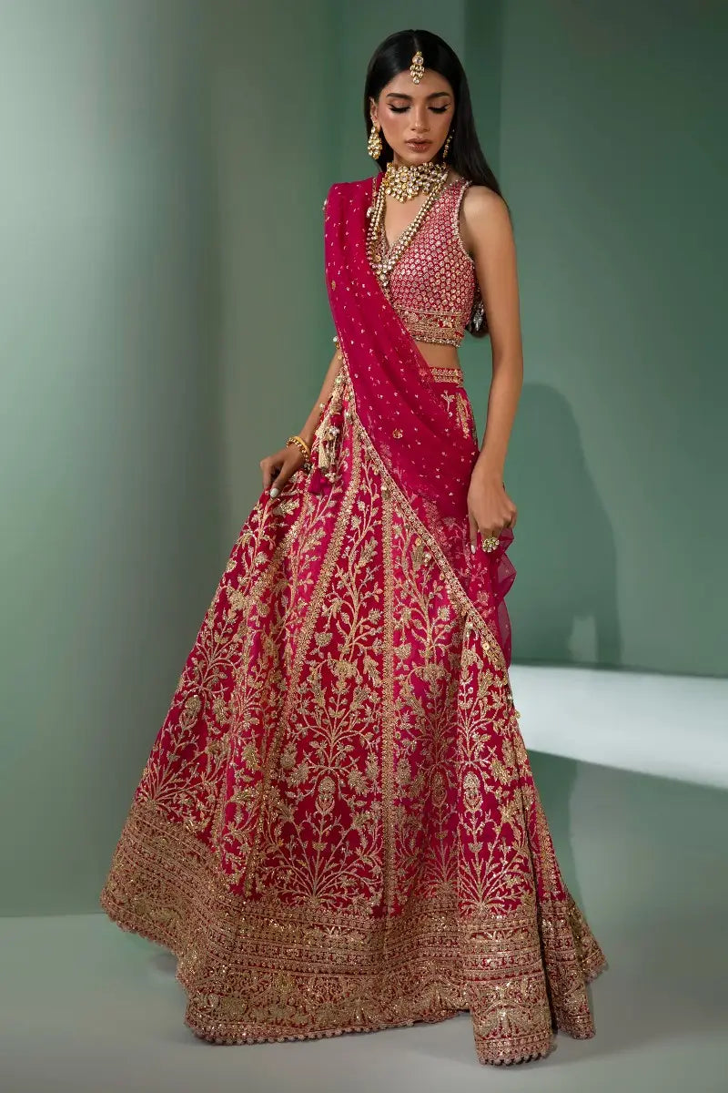 Sana Safinaz | Nura Festive 2023 | N233-004-CT - House Of Anaya