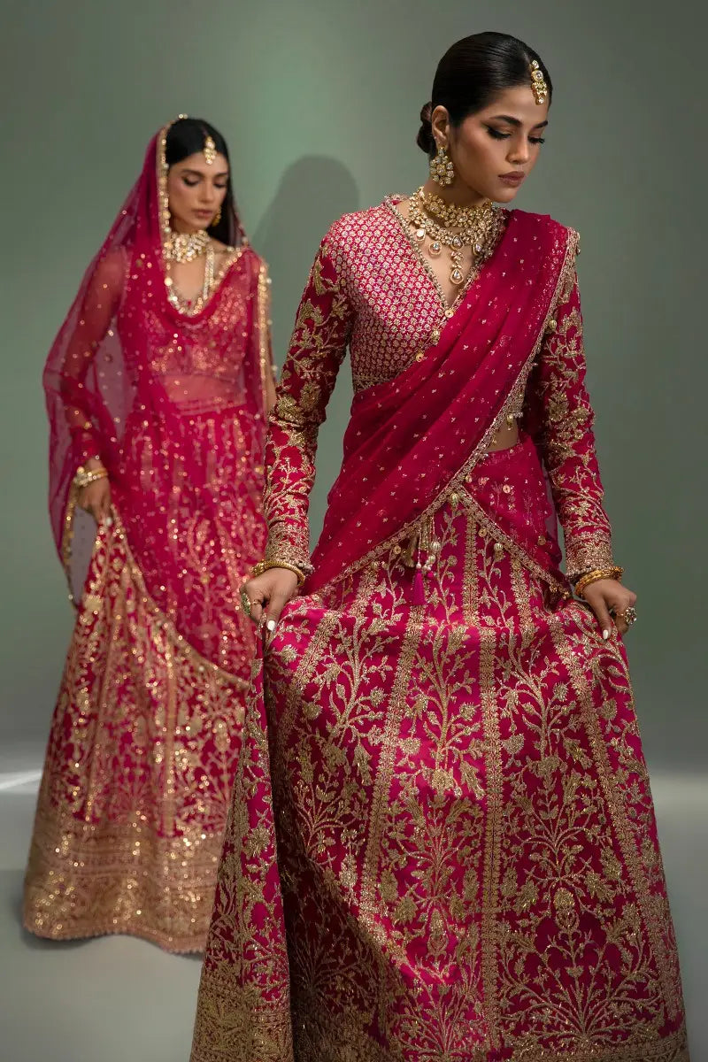 Sana Safinaz | Nura Festive 2023 | N233-004-CT - House Of Anaya