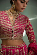 Sana Safinaz | Nura Festive 2023 | N233-004-CT - House Of Anaya