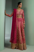 Sana Safinaz | Nura Festive 2023 | N233-004-CT - House Of Anaya
