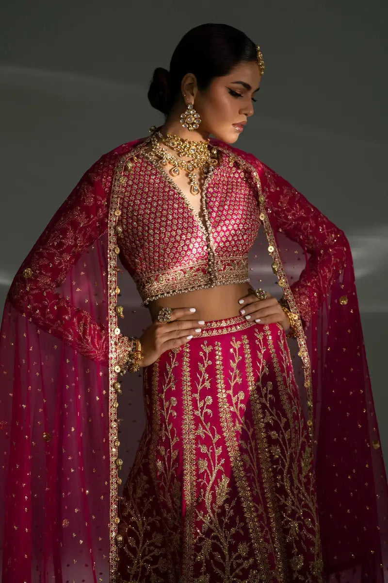 Sana Safinaz | Nura Festive 2023 | N233-004-CT - House Of Anaya