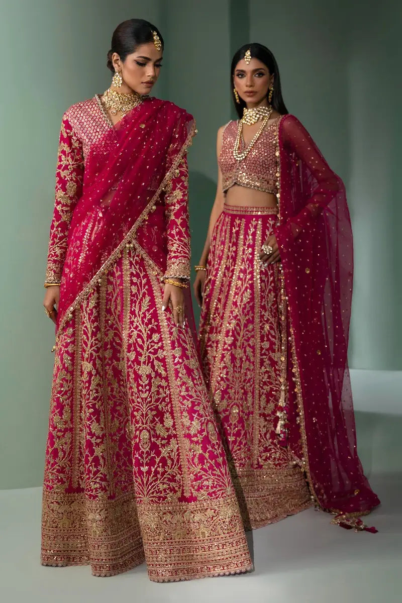 Sana Safinaz | Nura Festive 2023 | N233-004-CT - House Of Anaya
