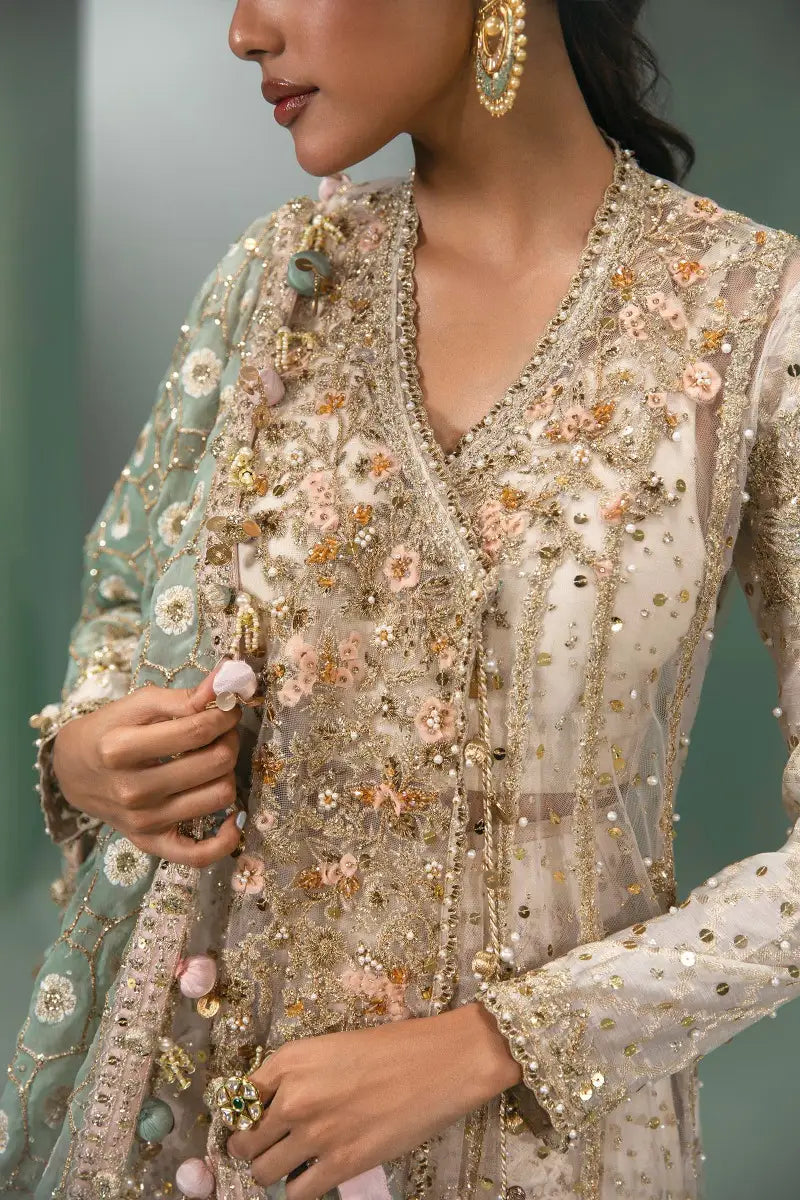 Sana Safinaz | Nura Festive 2023 | N233-005-CT - House Of Anaya