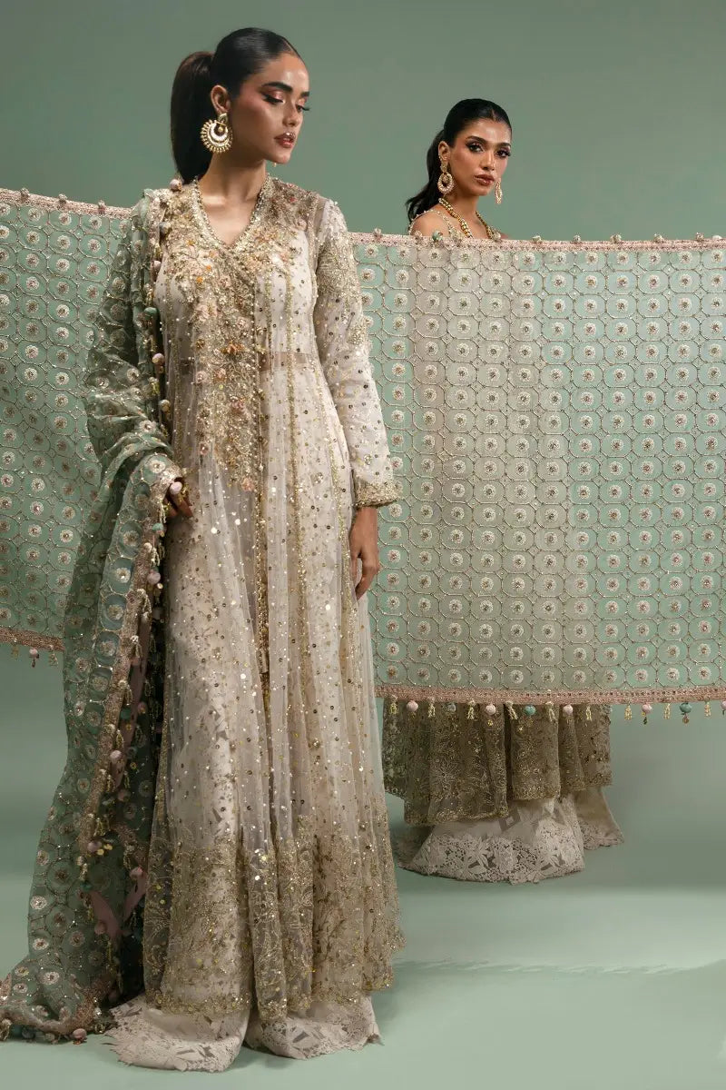Sana Safinaz | Nura Festive 2023 | N233-005-CT - House Of Anaya