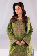Imrozia Premium | Noor 25 | SP-62 DANIN