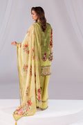 Imrozia Premium | Noor 25 | SP-67 TAABIR