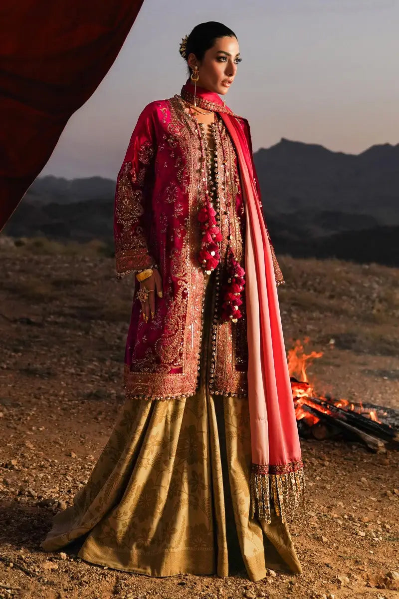 Sana Safinaz | Winter Luxury 23 | V231-004-DE - House Of Anaya