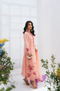 Vintage | Eid Edit 24 | Rumeha - House of Zarish