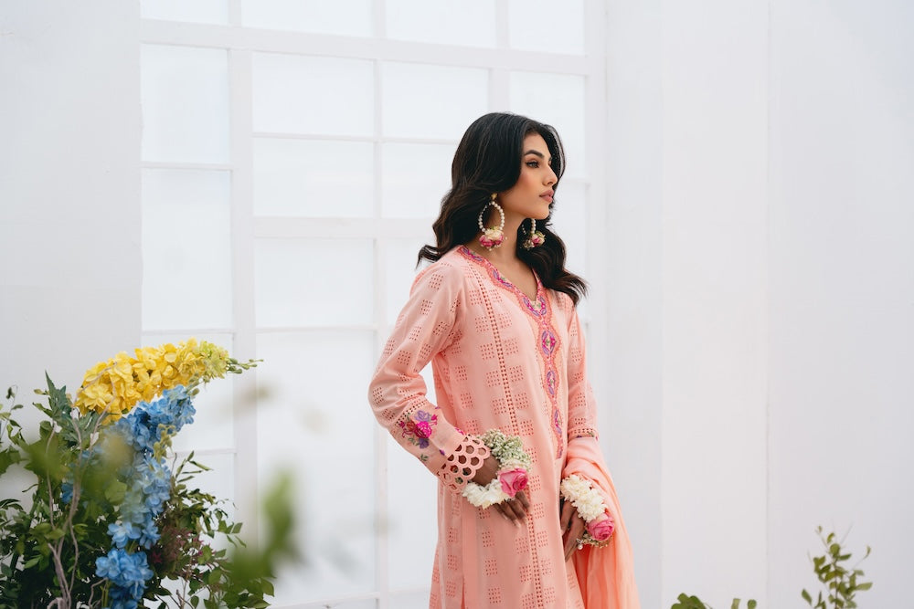 Vintage | Eid Edit 24 | Rumeha - House of Zarish