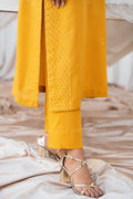 Vintage | Eid Edit 24 | Mehroz - House of Zarish