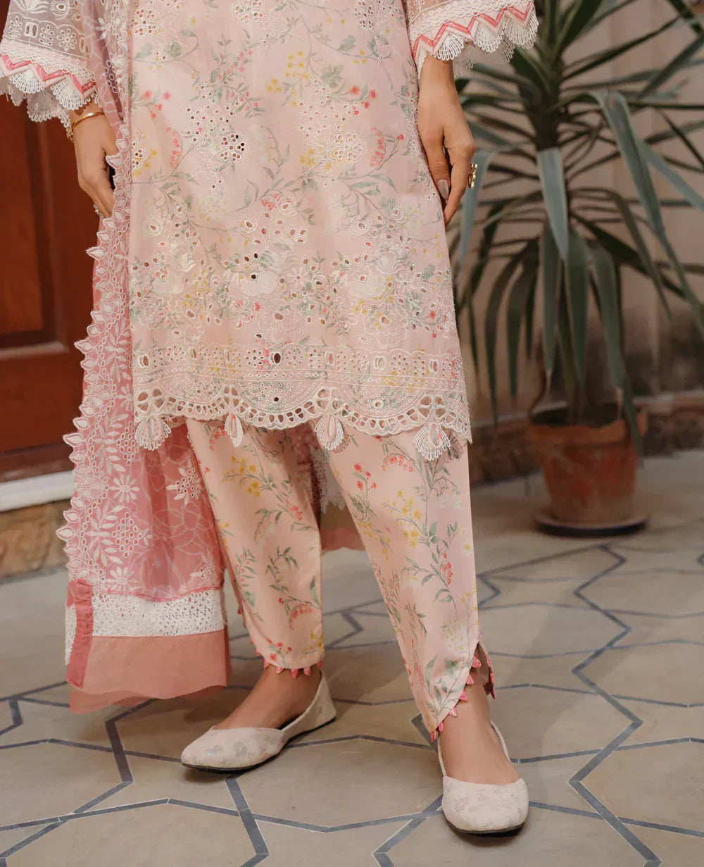 Xenia Formals | Lawn Collection 24 | Zubeena - House Of Anaya