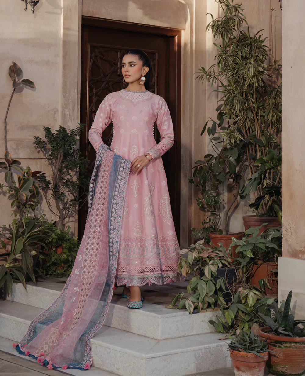 Xenia Formals | Lawn Collection 24 | Tazim - House Of Anaya